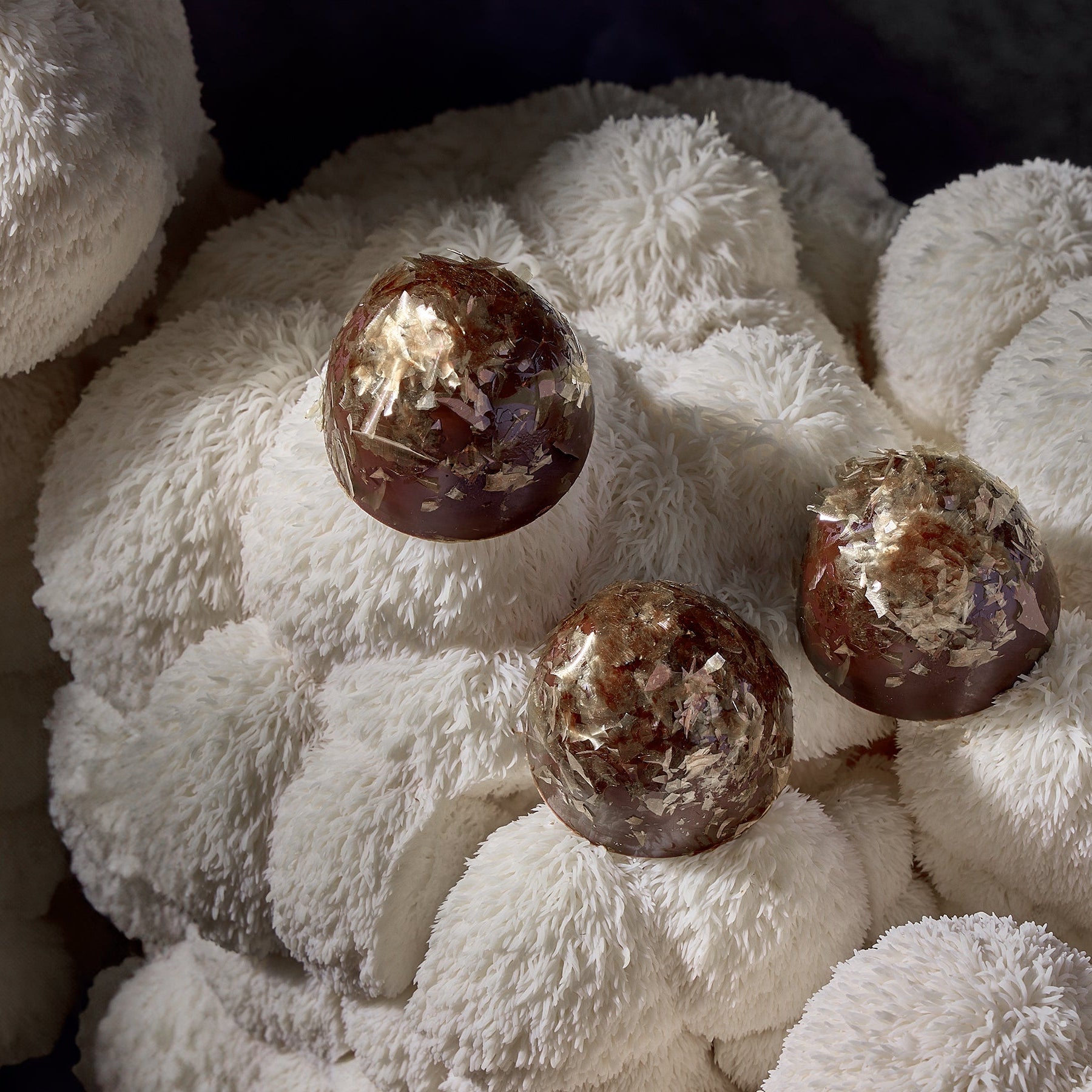 Beauty shot of dark chocolate truffles topped with lion's mane