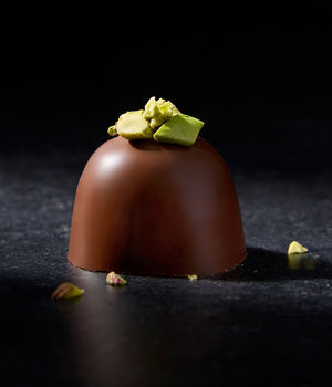 a chocolate covered dessert with green topping